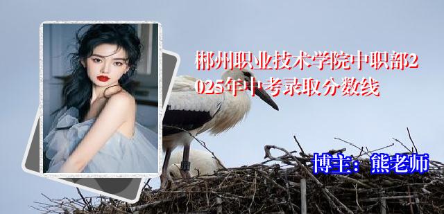 郴州职业技术学院中职部2025年中考录取分数线