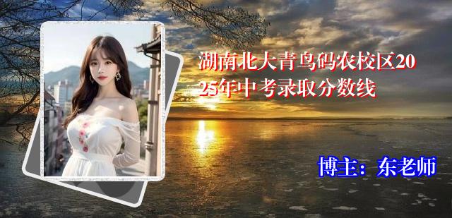 湖南北大青鸟码农校区2025年中考录取分数线