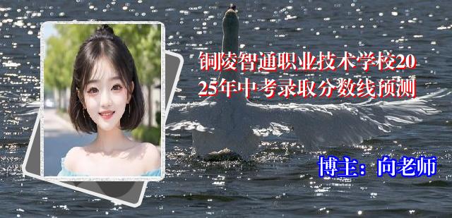铜陵智通职业技术学校2025年中考录取分数线预测