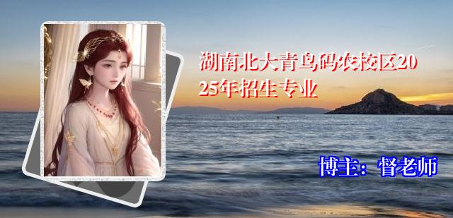 湖南北大青鸟码农校区2025年招生专业