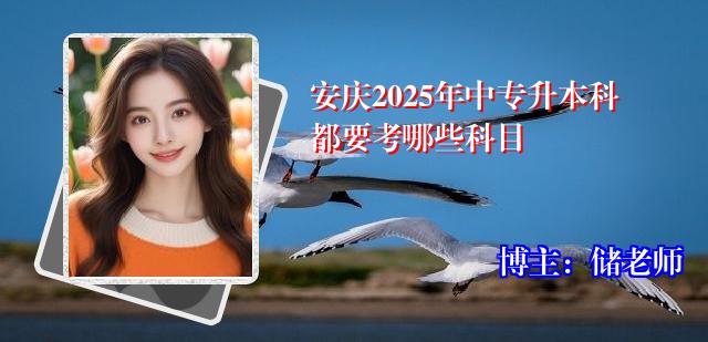 安庆2025年中专升本科都要考哪些科目
