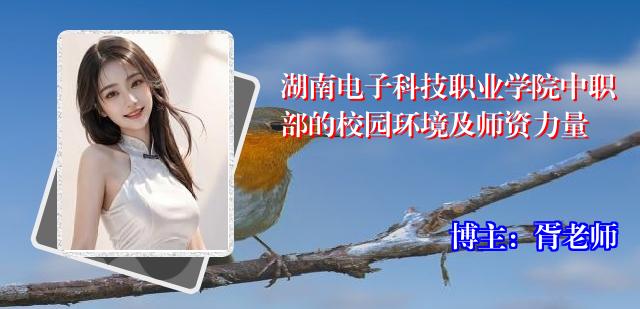 湖南电子科技职业学院中职部的校园环境及师资力量