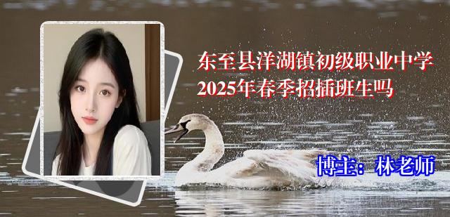 东至县洋湖镇初级职业中学2025年春季招插班生吗