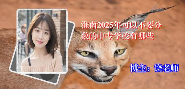 淮南2025年可以不要分数的中专学校有哪些