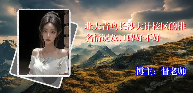 北大青鸟长沙大计校区的排名情况及口碑好不好