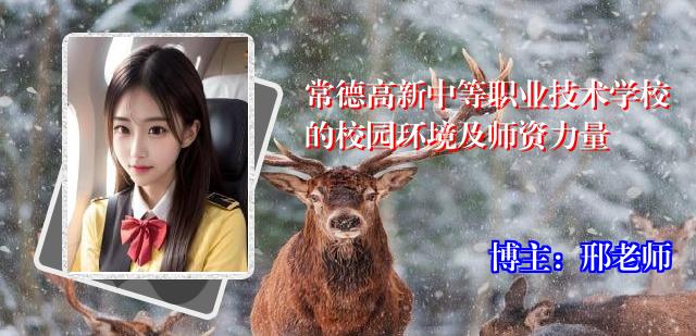 常德高新中等职业技术学校的校园环境及师资力量