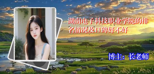 湖南电子科技职业学院的排名情况及口碑好不好