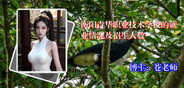 衡阳青华职业技术学校的就业情况及招生人数