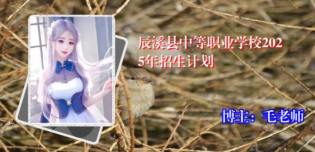 辰溪县中等职业学校2025年招生计划