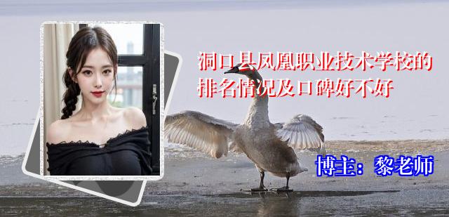 洞口县凤凰职业技术学校的排名情况及口碑好不好