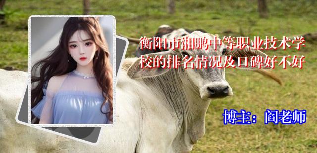 衡阳市湘鹏中等职业技术学校的排名情况及口碑好不好
