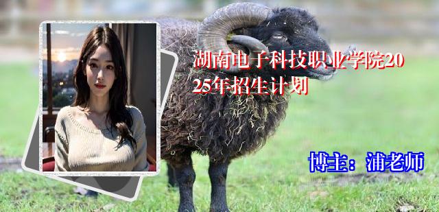 湖南电子科技职业学院2025年招生计划