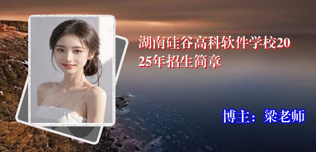 湖南硅谷高科软件学校2025年招生简章