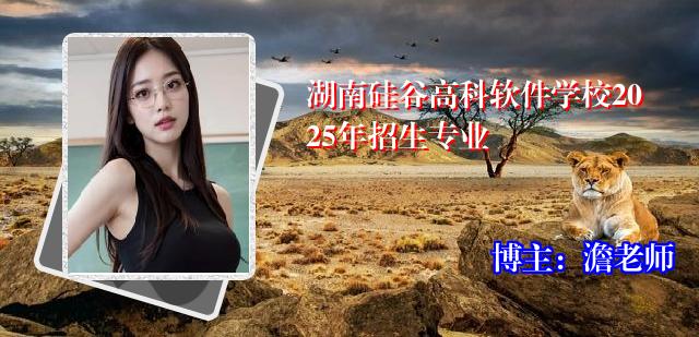 湖南硅谷高科软件学校2025年招生专业