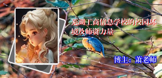 芜湖工商信息学校的校园环境及师资力量
