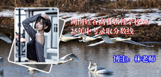 湖南硅谷高科软件学校2025年中考录取分数线