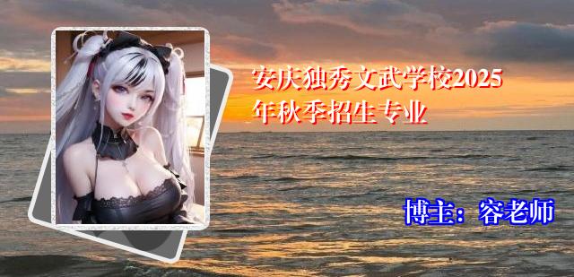 安庆独秀文武学校2025年秋季招生专业