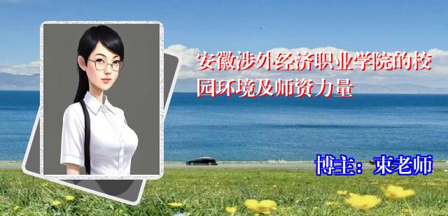 安徽涉外经济职业学院的校园环境及师资力量