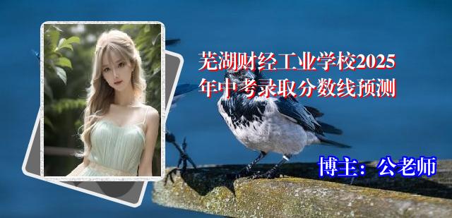芜湖财经工业学校2025年中考录取分数线预测