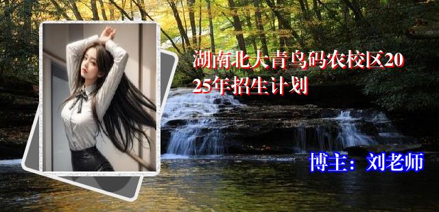 湖南北大青鸟码农校区2025年招生计划