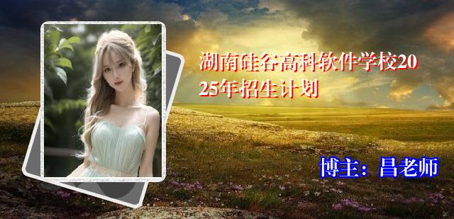 湖南硅谷高科软件学校2025年招生计划
