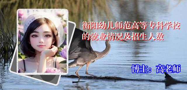 衡阳幼儿师范高等专科学校的就业情况及招生人数
