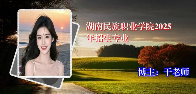 湖南民族职业学院2025年招生专业