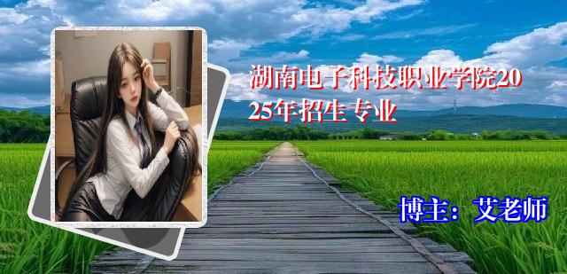 湖南电子科技职业学院2025年招生专业