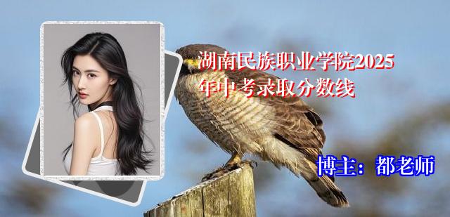 湖南民族职业学院2025年中考录取分数线