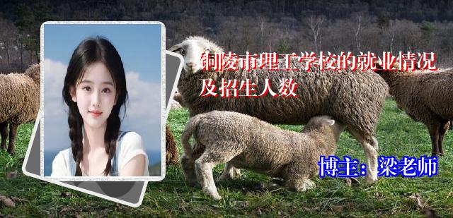 铜陵市理工学校的就业情况及招生人数