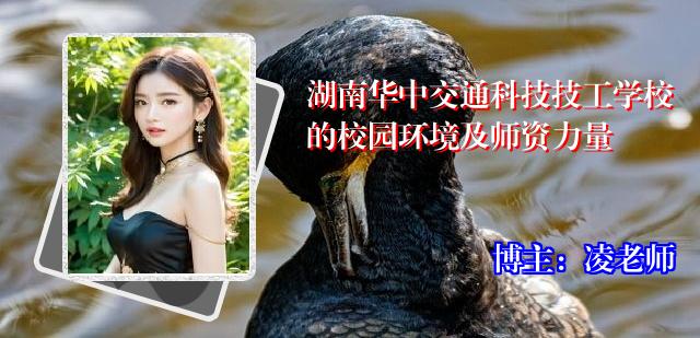 湖南华中交通科技技工学校的校园环境及师资力量