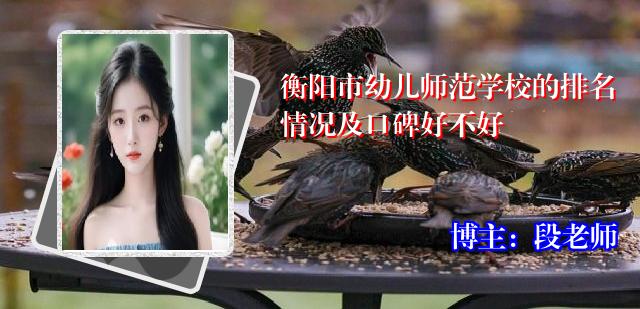 衡阳市幼儿师范学校的排名情况及口碑好不好