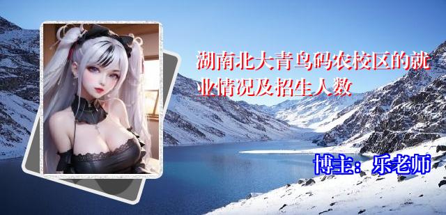 湖南北大青鸟码农校区的就业情况及招生人数