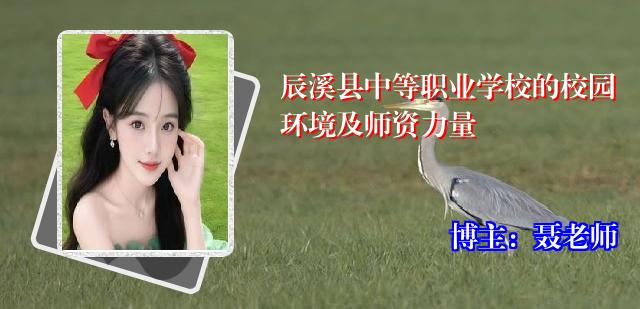 辰溪县中等职业学校的校园环境及师资力量