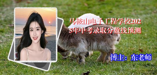 马鞍山电子工程学校2025年中考录取分数线预测