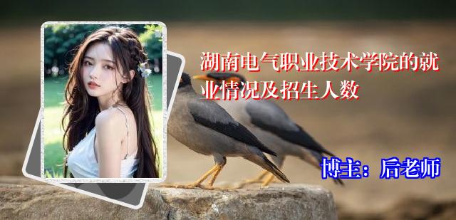 湖南电气职业技术学院的就业情况及招生人数