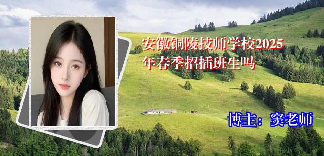 安徽铜陵技师学校2025年春季招插班生吗