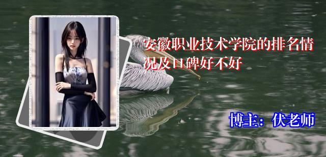 安徽职业技术学院的排名情况及口碑好不好