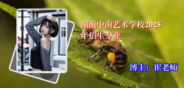 湖南中南艺术学校2025年招生专业