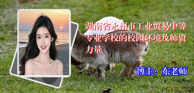 湖南省永州市工业贸易中等专业学校的校园环境及师资力量