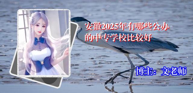 安徽2025年有哪些公办的中专学校比较好