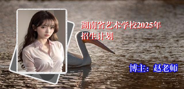 湖南省艺术学校2025年招生计划