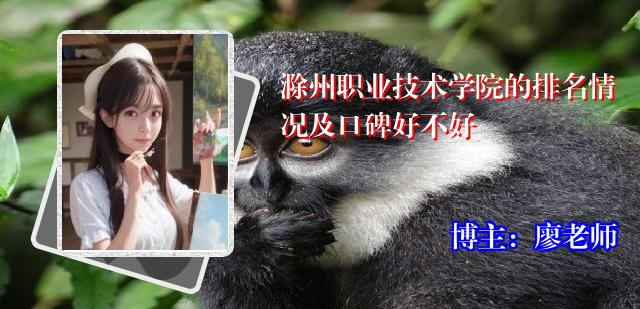 滁州职业技术学院的排名情况及口碑好不好