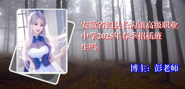 安徽省泗县长沟镇高级职业中学2025年春季招插班生吗