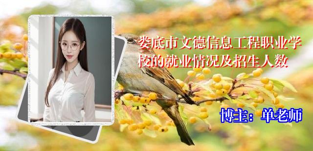 娄底市文德信息工程职业学校的就业情况及招生人数