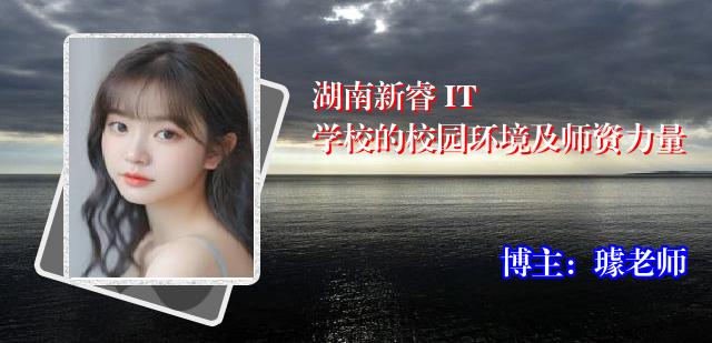 湖南新睿 IT 学校的校园环境及师资力量