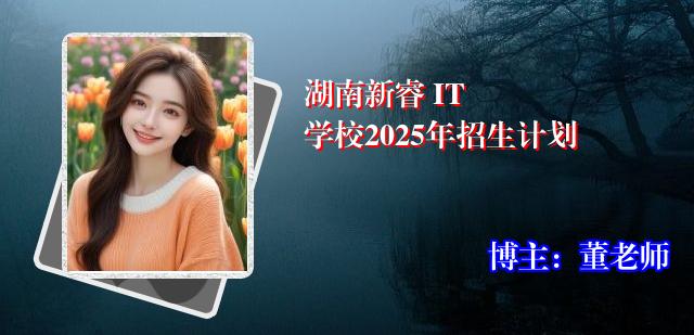 湖南新睿 IT 学校2025年招生计划