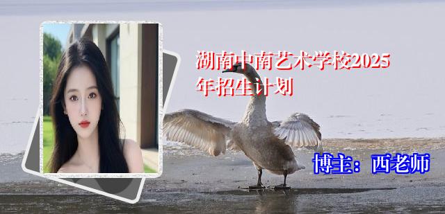 湖南中南艺术学校2025年招生计划