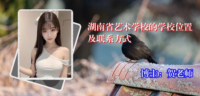 湖南省艺术学校的学校位置及联系方式