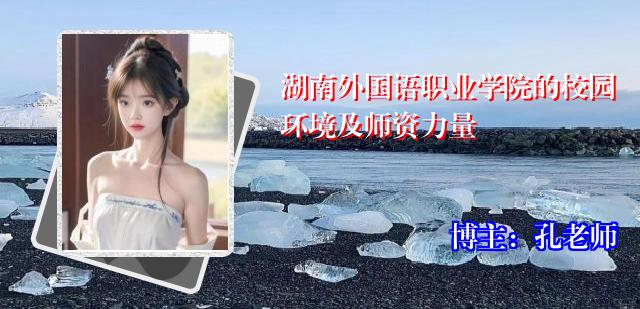湖南外国语职业学院的校园环境及师资力量